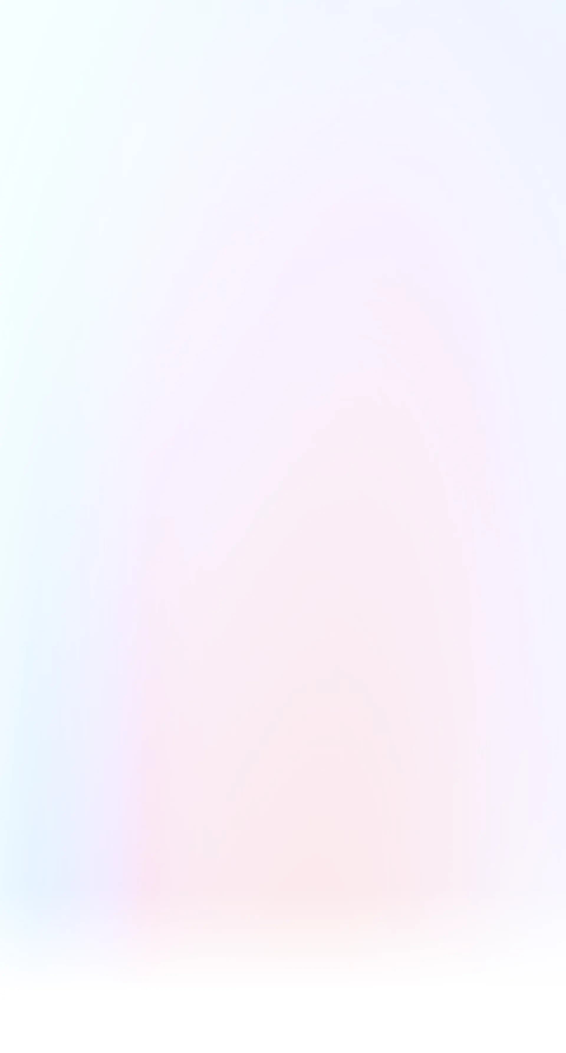 Identifier